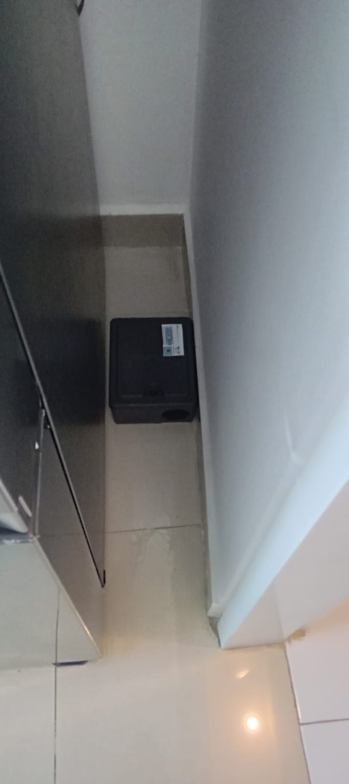 roedores-residencial